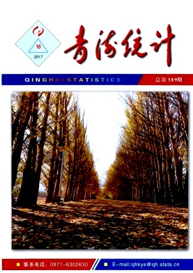 青海统计期刊封面