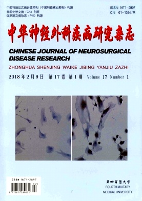 《中华神经外科疾病研究》封面
