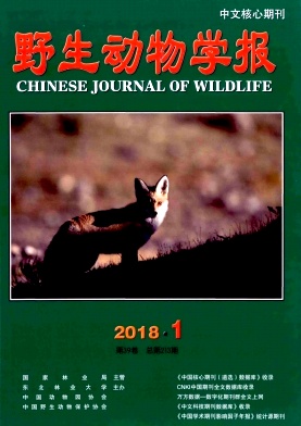 《野生动物学报》封面