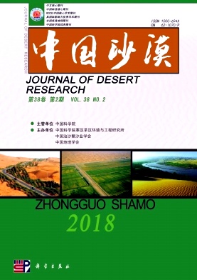 《中国沙漠》封面