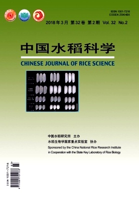 《中国水稻科学》封面