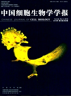《中国细胞生物学学报》封面