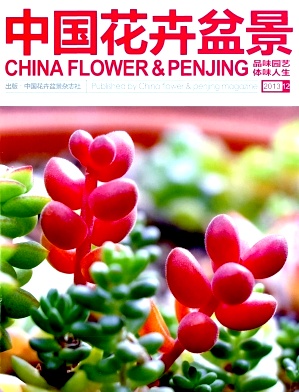《中国花卉盆景》封面