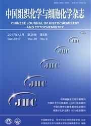 《中国组织化学与细胞化学》封面