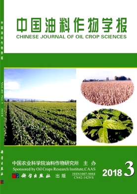《植物营养与肥料学报》封面