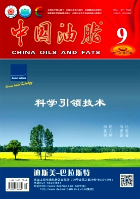 《中国油脂》封面