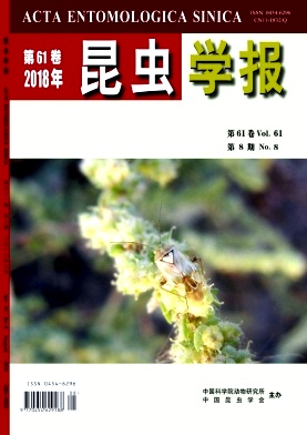《昆虫学报》封面