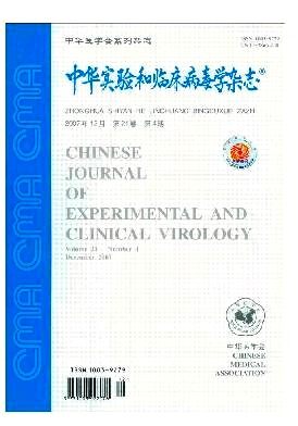 《中华实验和临床病毒学》