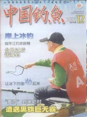 《中国钓鱼》